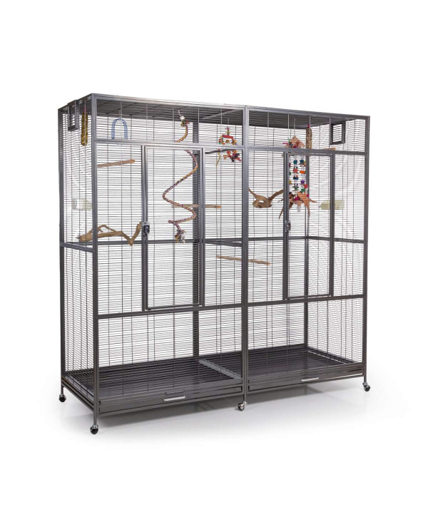 Montana Cages New Sydney ll Antik volière pour perroquet, canari, perruche, calopsitte