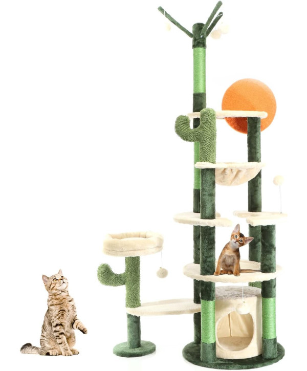 Fudajo Arbre à chat Vert cactus Hauteur 172cm