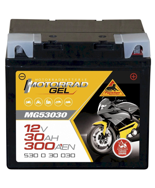 Panther Motorrad 53030 GEL Batterie 12V 30Ah