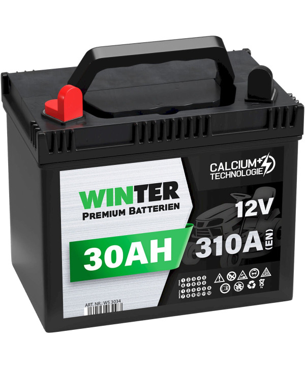 WINTER Rasentraktor Aufsitzmäher Batterie 30Ah +Pol Links Starterbatterie wartungsfrei