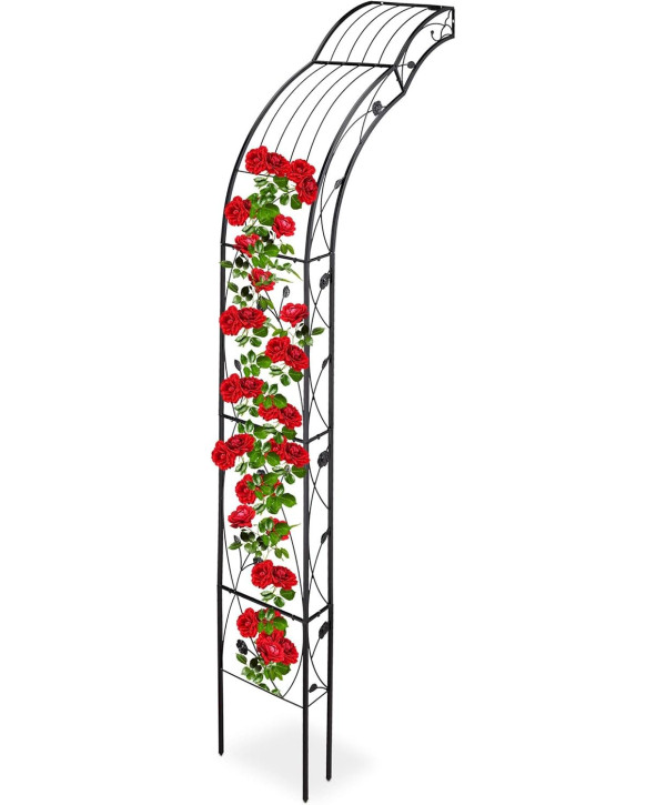 Arcade de rosiers demi ronde pour mur 256x39x72cm