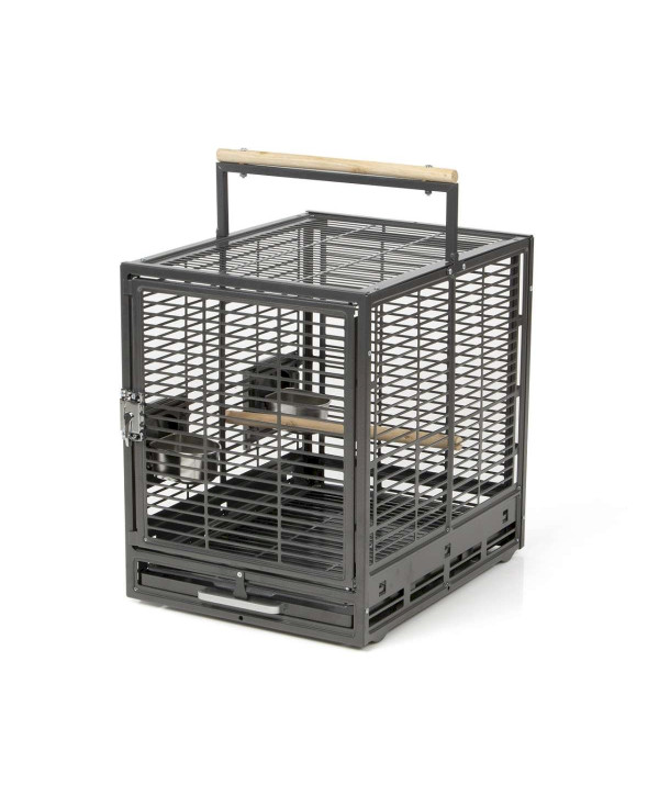 Cage de transport EVO pour perruches et perroquets - antique