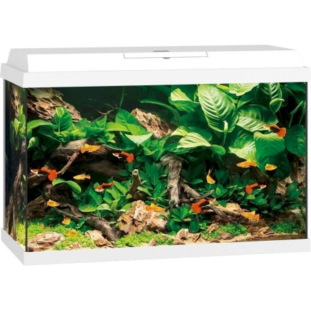 Juwel Primo 70 Led aquarium Set Blanc