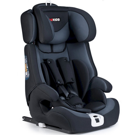 Ricokids Kinderautositz 9-36 kg Auto 1-3 Gruppe Isofix Top-Tether-Anker grau