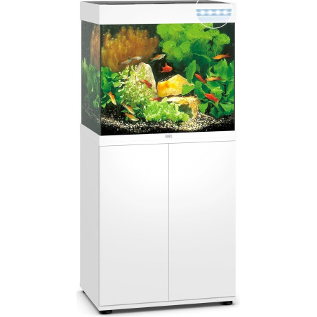 Juwel Aquarium 11351 Lido 120 LED, avec Meuble Blanc