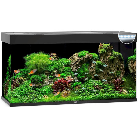 JUWEL Rio 350 LED Aquarium, 350 Liter, ohne Schrank schwarz