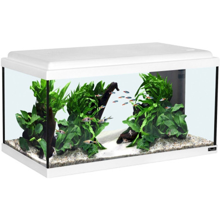 Aquatlantis Advance LED 60 Aquarium-Set 54l blanc