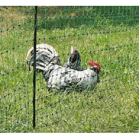 Geflügelnetz 50 m 112 cm Einzellspitze ohne Strom Hühnernetz Weidezaun Netz - 292208