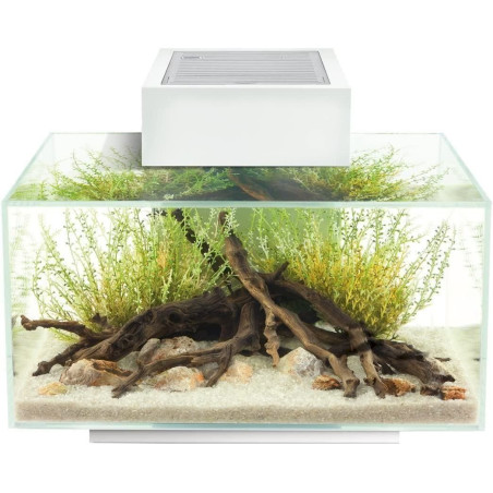 Fluval Edge 2.0 Aquarium Set 23L weiß mit LED-Beleuchtung