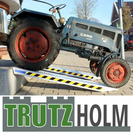 TrutzHolm Paar Profi Alu Auffahrrampe ca. 212 cm Verladerampe Auto Pkw bis 3800kg/Paar