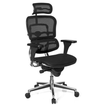 HJH Office Ergohuman Chaise / Fauteuil de bureau ergonomique 652111