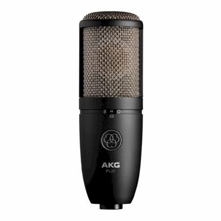 AKG P420 Stu­dio­mi­kro­fon Groß­mem­bran K/N/A mit Spinne