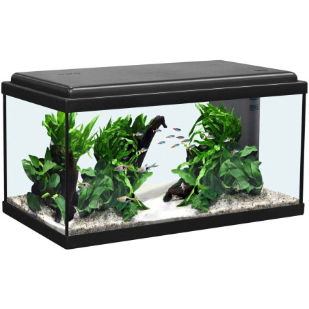 Aquatlantis Advance LED 60 Aquarium-Set 54l noir