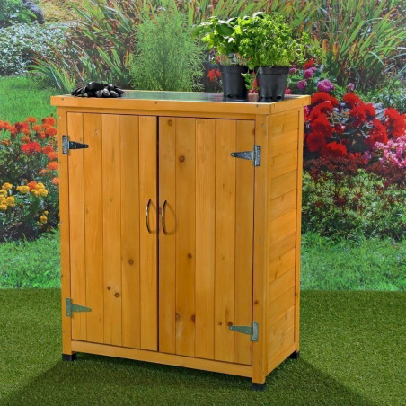 Mucola 50003139 Armoire à équipement Abri de jardin + 2 portes