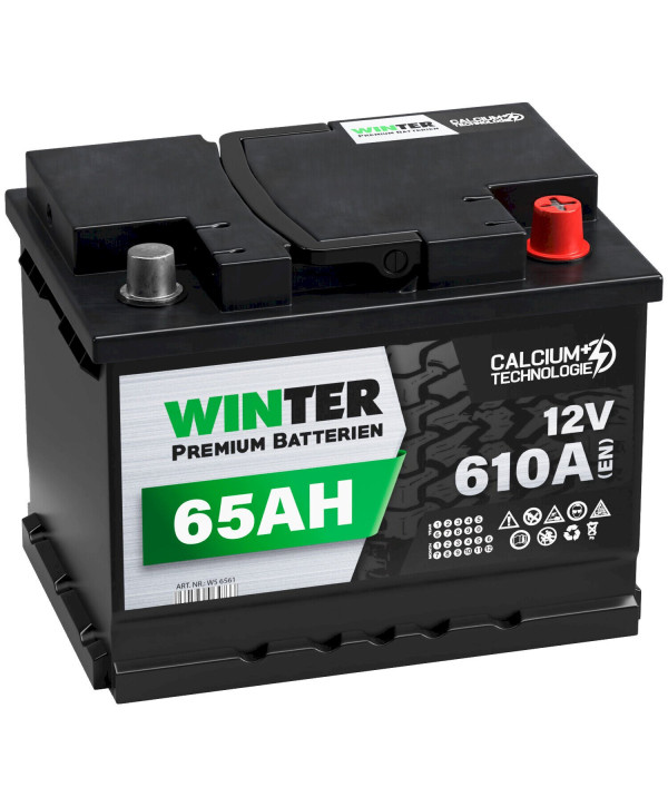 WINTER Autobatterie 65Ah 12V 610A/EN