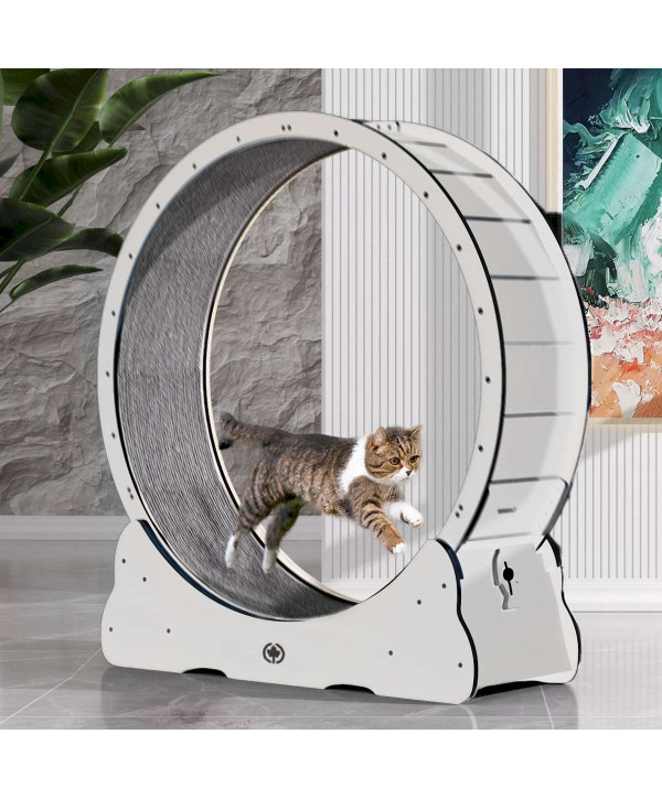 CanadianCat Company roue pour chat en bois XL - 132 x 37 x 141,5 cm blanc