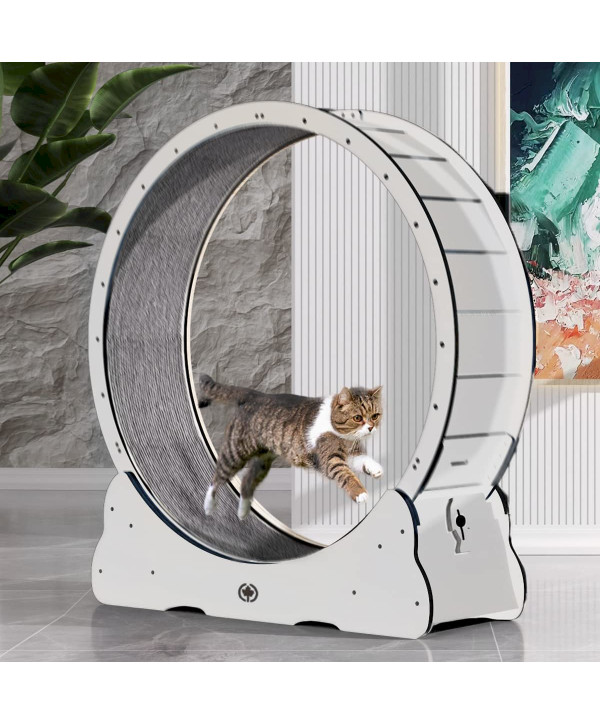 CanadianCat Company roue pour chat en bois L - 110 x 36,5 x 115 cm blanc