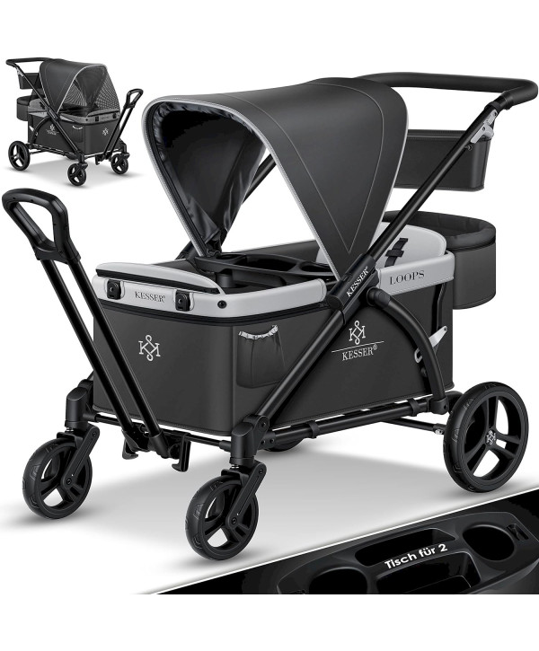 Bollerwagen LOOPS faltbar 2in1 Kinderwagen Handwagen mit Dach dunkelgrau